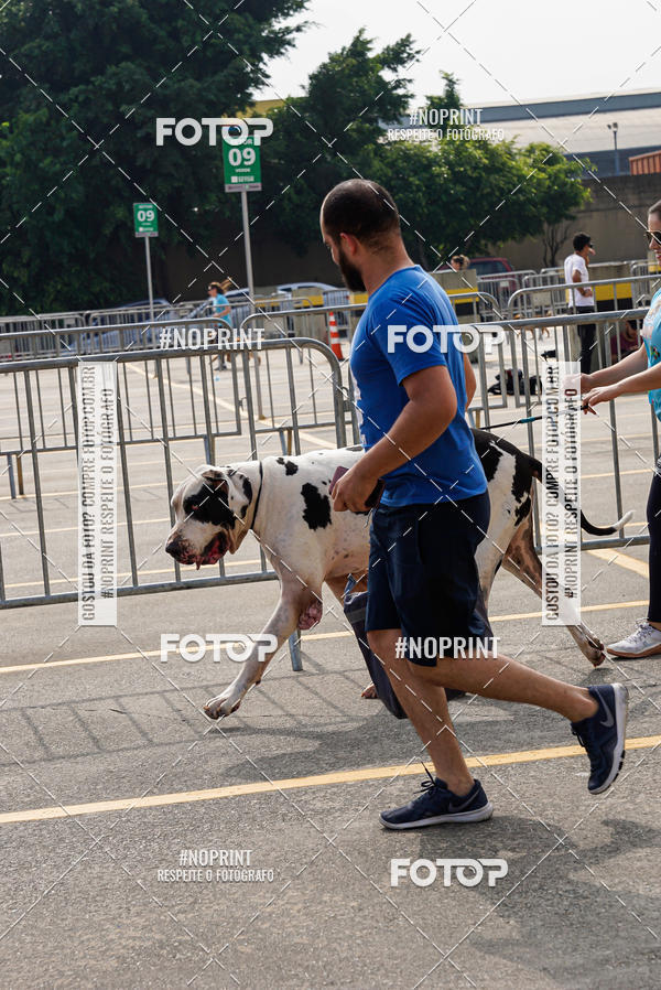 Buy your photos of the eventCorrida Scooby Doo Internacional Shopping Guarulhos 2019 on Fotop