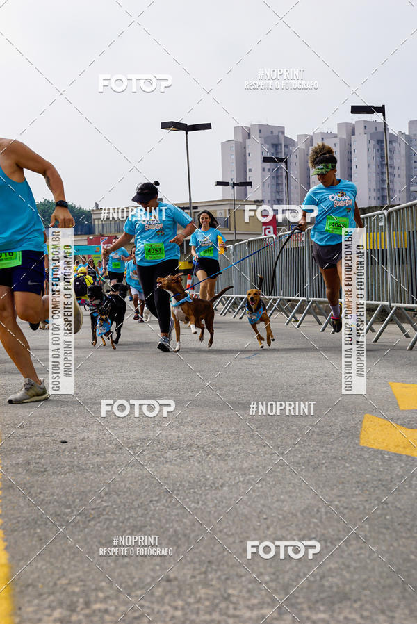 Buy your photos of the eventCorrida Scooby Doo Internacional Shopping Guarulhos 2019 on Fotop