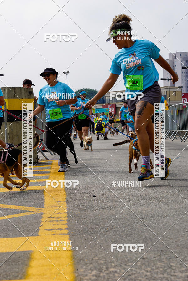 Buy your photos of the eventCorrida Scooby Doo Internacional Shopping Guarulhos 2019 on Fotop