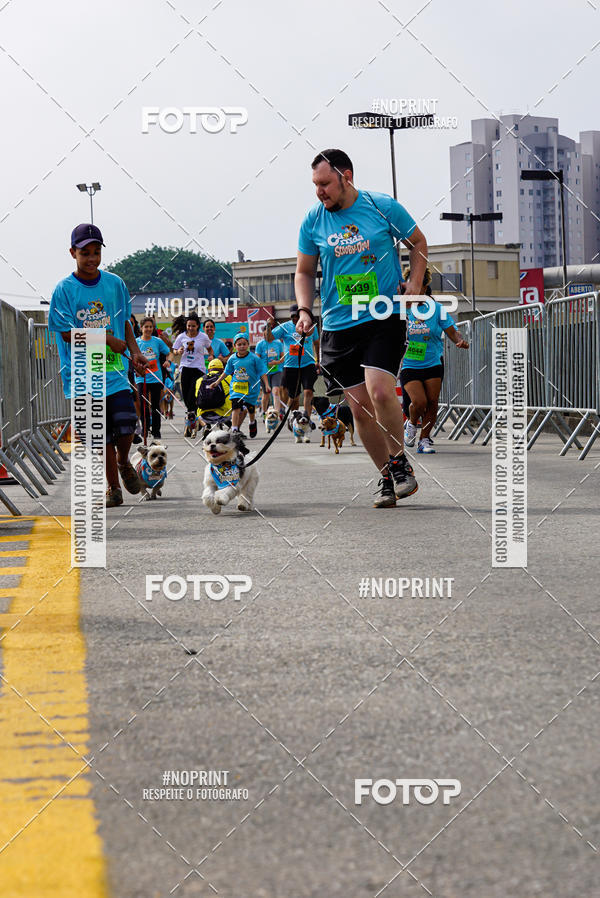 Buy your photos of the eventCorrida Scooby Doo Internacional Shopping Guarulhos 2019 on Fotop
