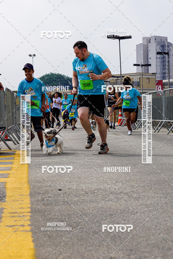 Buy your photos of the eventCorrida Scooby Doo Internacional Shopping Guarulhos 2019 on Fotop