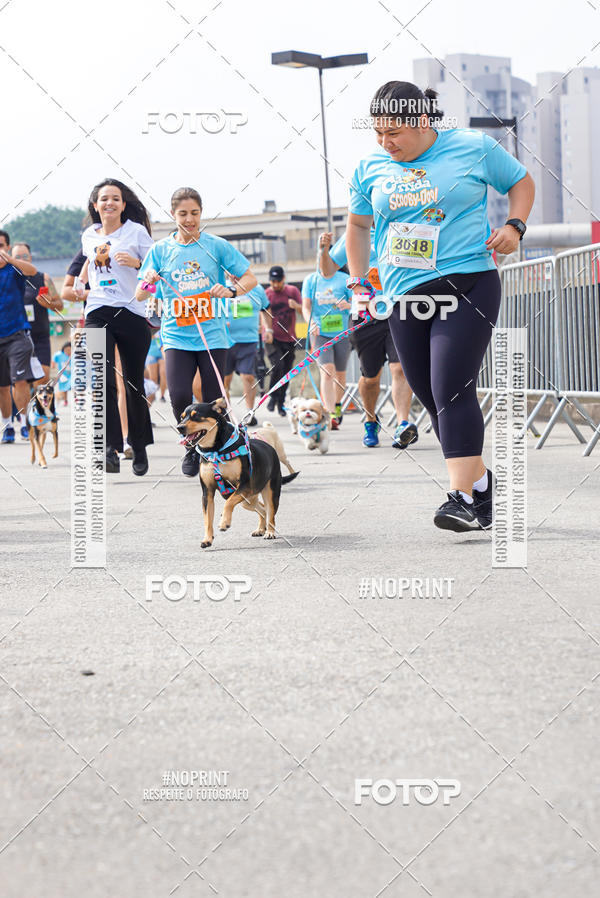 Buy your photos of the eventCorrida Scooby Doo Internacional Shopping Guarulhos 2019 on Fotop