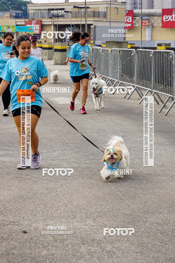 Buy your photos of the eventCorrida Scooby Doo Internacional Shopping Guarulhos 2019 on Fotop
