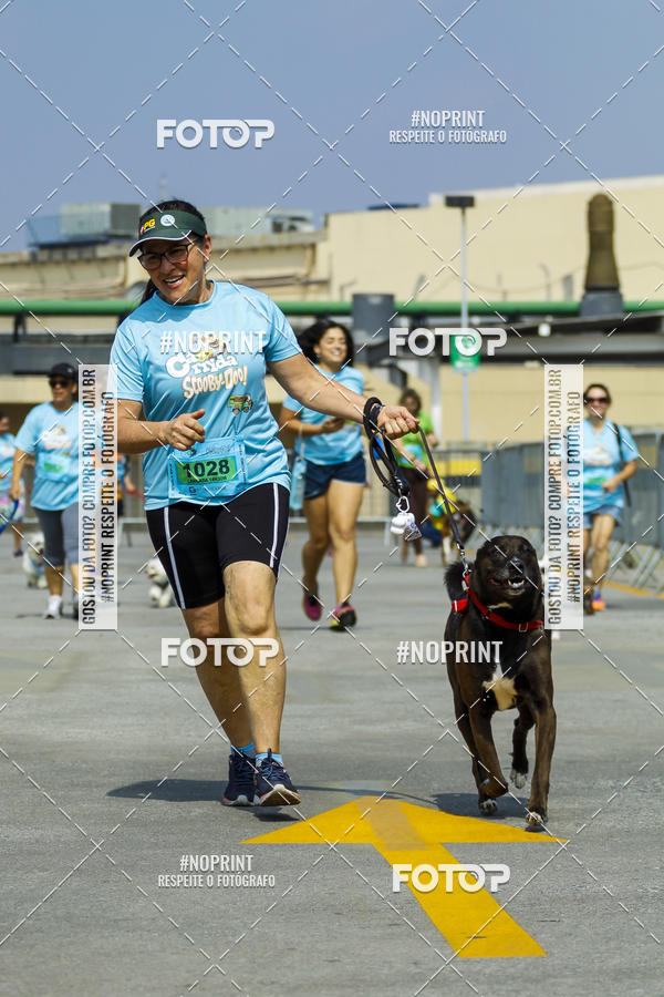 Buy your photos of the eventC�orrida Scooby Doo Internacional Shopping Guarulhos 2019 on Fotop