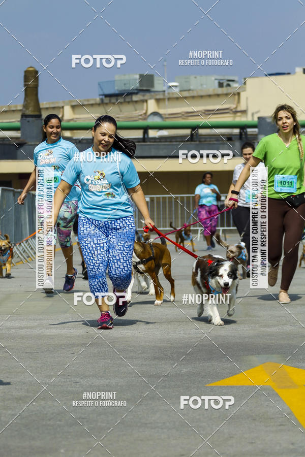 Buy your photos of the eventC�orrida Scooby Doo Internacional Shopping Guarulhos 2019 on Fotop