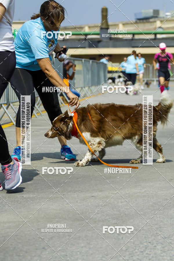 Buy your photos of the eventC�orrida Scooby Doo Internacional Shopping Guarulhos 2019 on Fotop