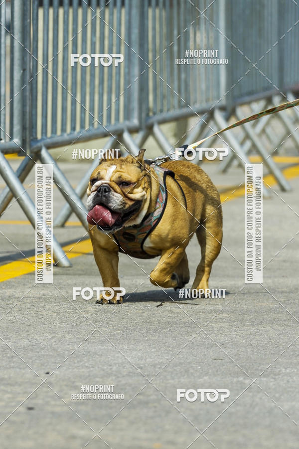 Buy your photos of the eventC�orrida Scooby Doo Internacional Shopping Guarulhos 2019 on Fotop