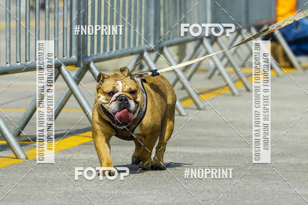 Buy your photos of the eventC�orrida Scooby Doo Internacional Shopping Guarulhos 2019 on Fotop