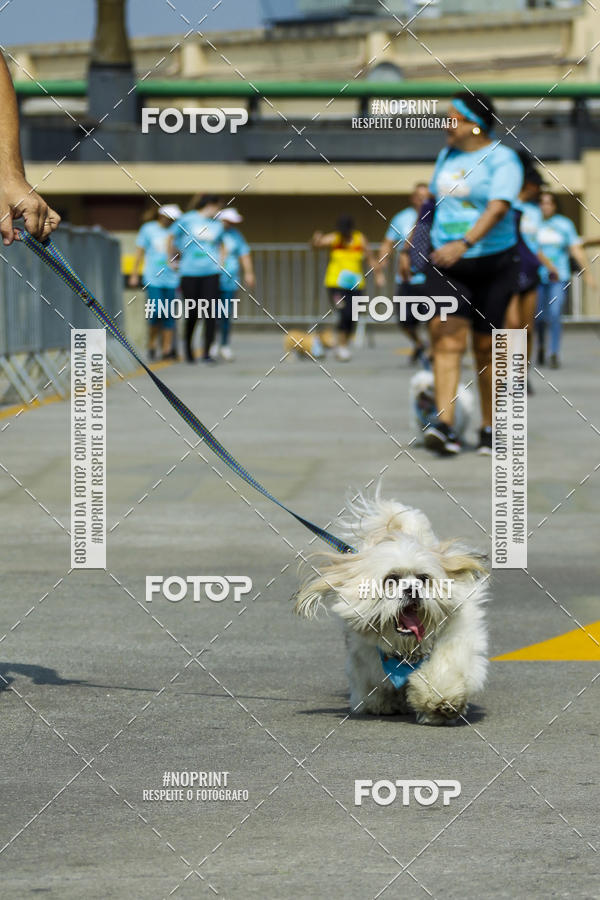Buy your photos of the eventC�orrida Scooby Doo Internacional Shopping Guarulhos 2019 on Fotop