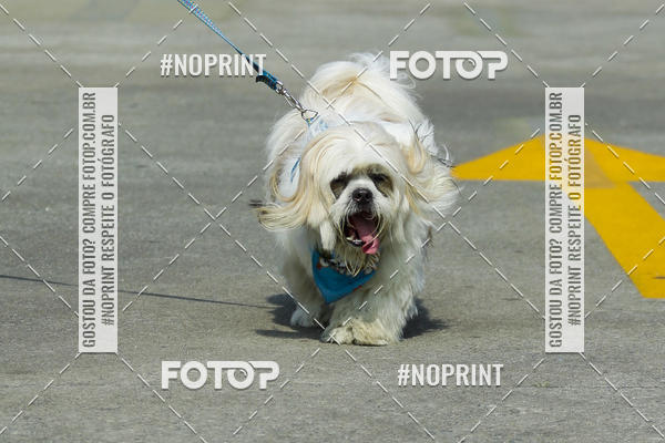 Buy your photos of the eventC�orrida Scooby Doo Internacional Shopping Guarulhos 2019 on Fotop