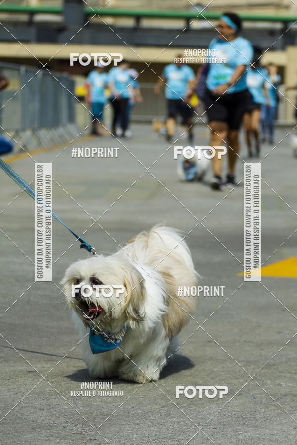 Buy your photos of the eventC�orrida Scooby Doo Internacional Shopping Guarulhos 2019 on Fotop