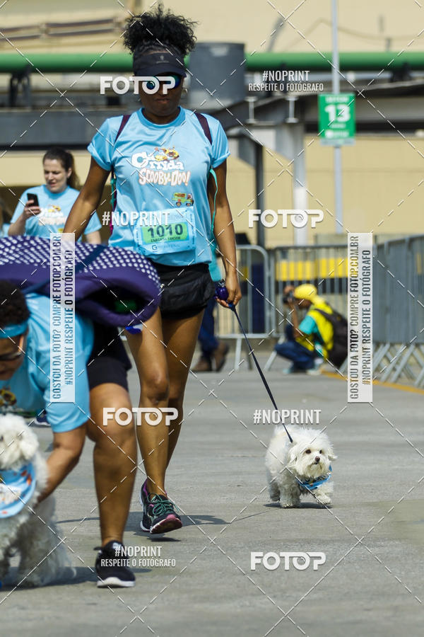 Buy your photos of the eventC�orrida Scooby Doo Internacional Shopping Guarulhos 2019 on Fotop