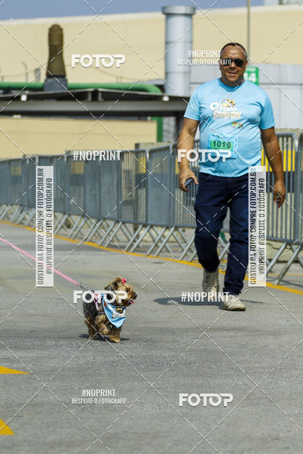 Buy your photos of the eventC�orrida Scooby Doo Internacional Shopping Guarulhos 2019 on Fotop