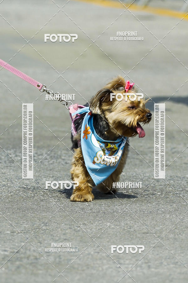 Buy your photos of the eventC�orrida Scooby Doo Internacional Shopping Guarulhos 2019 on Fotop