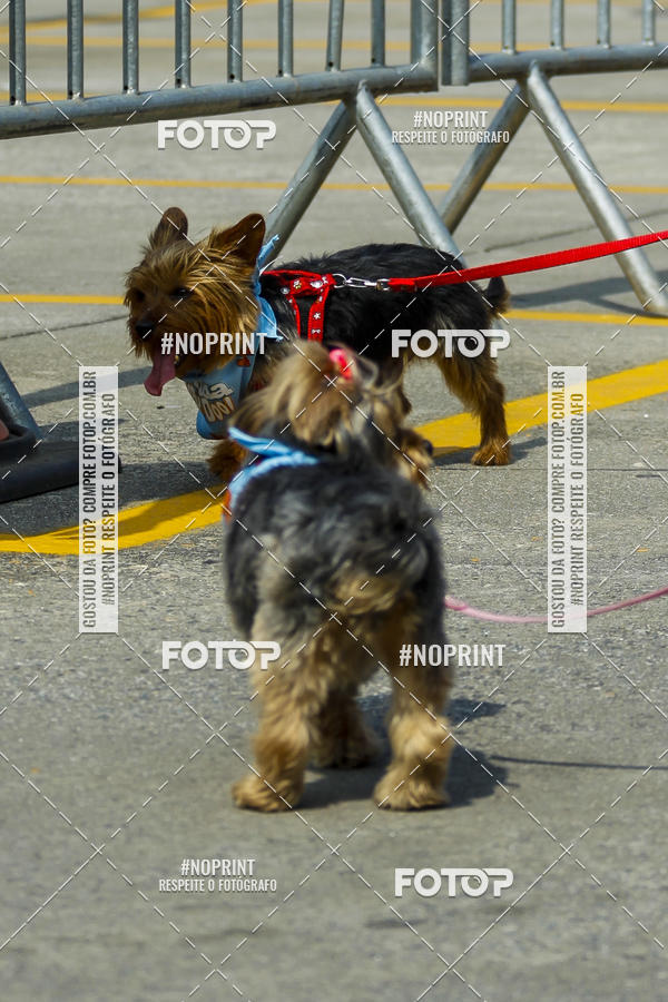 Buy your photos of the eventC�orrida Scooby Doo Internacional Shopping Guarulhos 2019 on Fotop