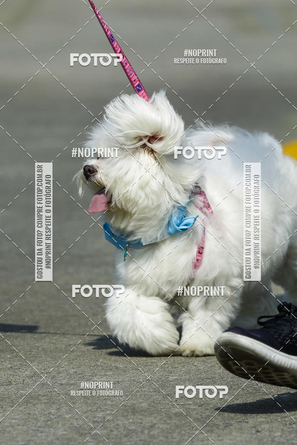 Buy your photos of the eventC�orrida Scooby Doo Internacional Shopping Guarulhos 2019 on Fotop