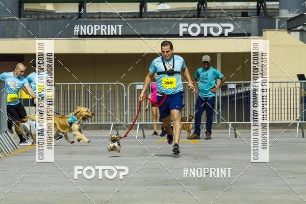 Buy your photos of the eventC�orrida Scooby Doo Internacional Shopping Guarulhos 2019 on Fotop