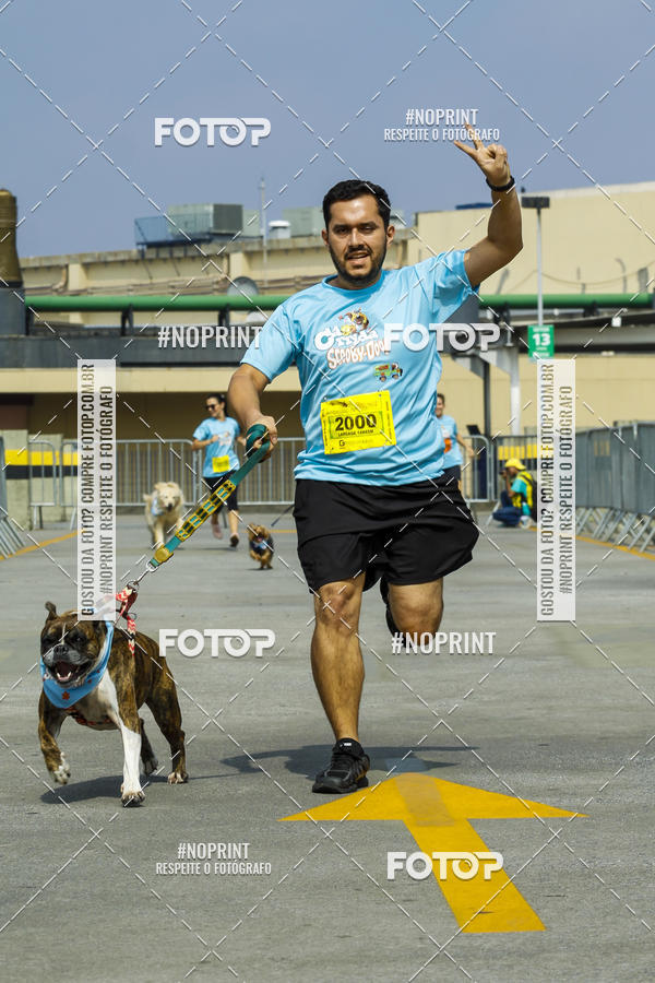 Buy your photos of the eventC�orrida Scooby Doo Internacional Shopping Guarulhos 2019 on Fotop