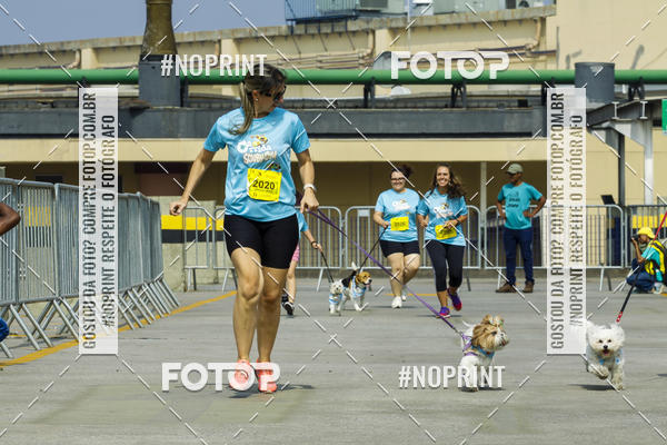 Buy your photos of the eventC�orrida Scooby Doo Internacional Shopping Guarulhos 2019 on Fotop