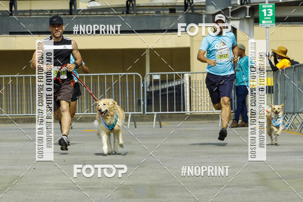 Buy your photos of the eventC�orrida Scooby Doo Internacional Shopping Guarulhos 2019 on Fotop