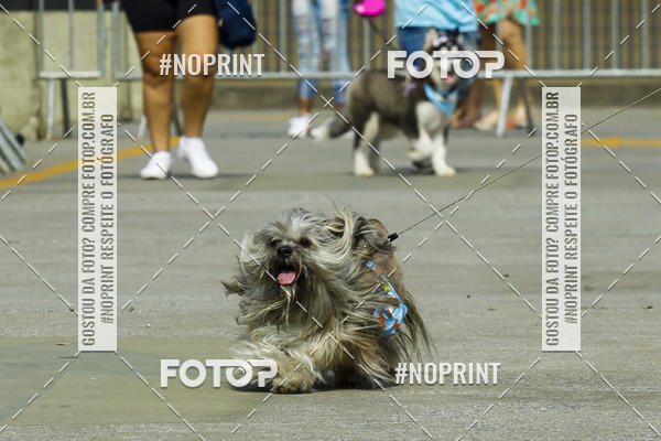 Buy your photos of the eventC�orrida Scooby Doo Internacional Shopping Guarulhos 2019 on Fotop