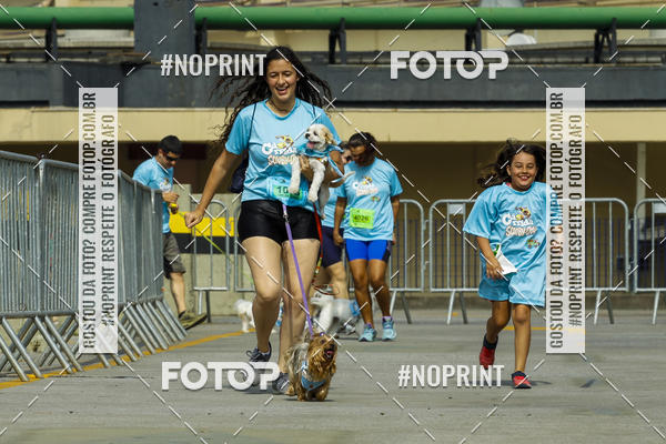 Buy your photos of the eventC�orrida Scooby Doo Internacional Shopping Guarulhos 2019 on Fotop