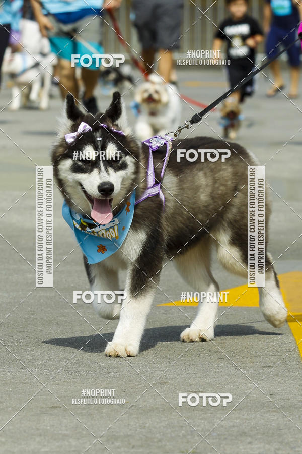 Buy your photos of the eventC�orrida Scooby Doo Internacional Shopping Guarulhos 2019 on Fotop
