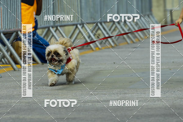 Buy your photos of the eventC�orrida Scooby Doo Internacional Shopping Guarulhos 2019 on Fotop