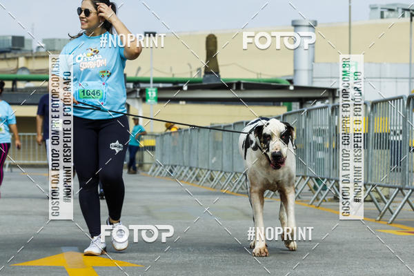 Buy your photos of the eventC�orrida Scooby Doo Internacional Shopping Guarulhos 2019 on Fotop