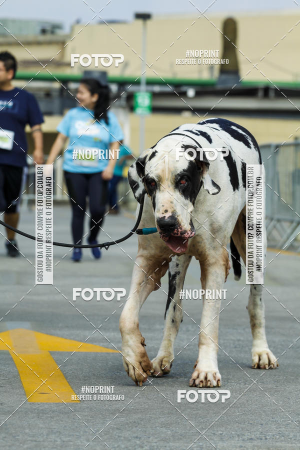 Buy your photos of the eventC�orrida Scooby Doo Internacional Shopping Guarulhos 2019 on Fotop