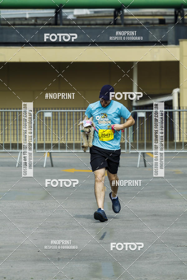 Buy your photos of the eventC�orrida Scooby Doo Internacional Shopping Guarulhos 2019 on Fotop