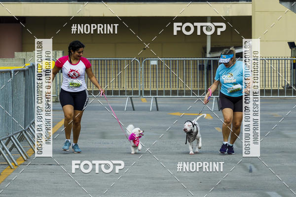 Buy your photos of the eventC�orrida Scooby Doo Internacional Shopping Guarulhos 2019 on Fotop