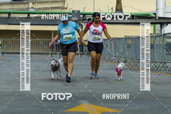 Buy your photos of the eventC�orrida Scooby Doo Internacional Shopping Guarulhos 2019 on Fotop