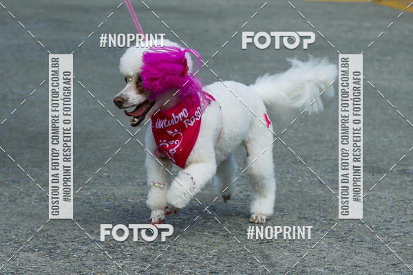 Buy your photos of the eventC�orrida Scooby Doo Internacional Shopping Guarulhos 2019 on Fotop