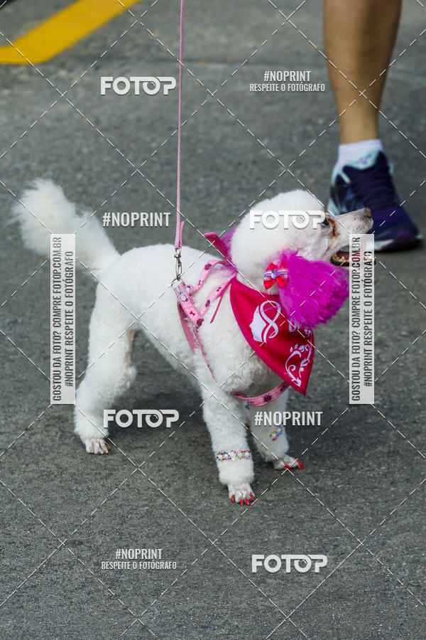 Buy your photos of the eventC�orrida Scooby Doo Internacional Shopping Guarulhos 2019 on Fotop