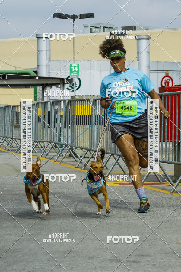 Buy your photos of the eventC�orrida Scooby Doo Internacional Shopping Guarulhos 2019 on Fotop