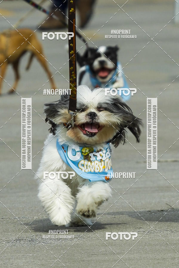 Buy your photos of the eventC�orrida Scooby Doo Internacional Shopping Guarulhos 2019 on Fotop