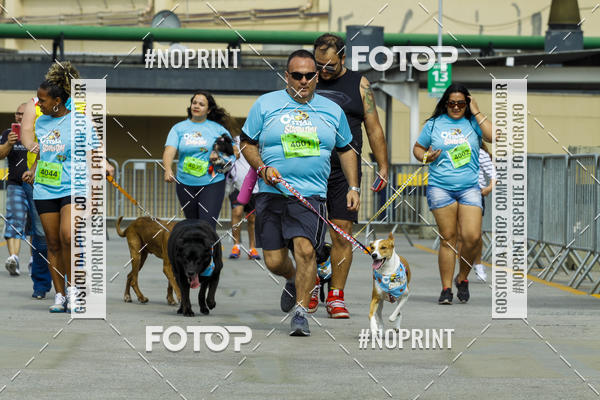 Buy your photos of the eventC�orrida Scooby Doo Internacional Shopping Guarulhos 2019 on Fotop