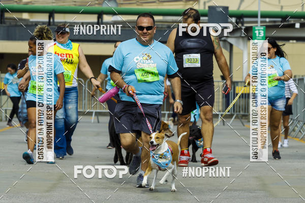 Buy your photos of the eventC�orrida Scooby Doo Internacional Shopping Guarulhos 2019 on Fotop