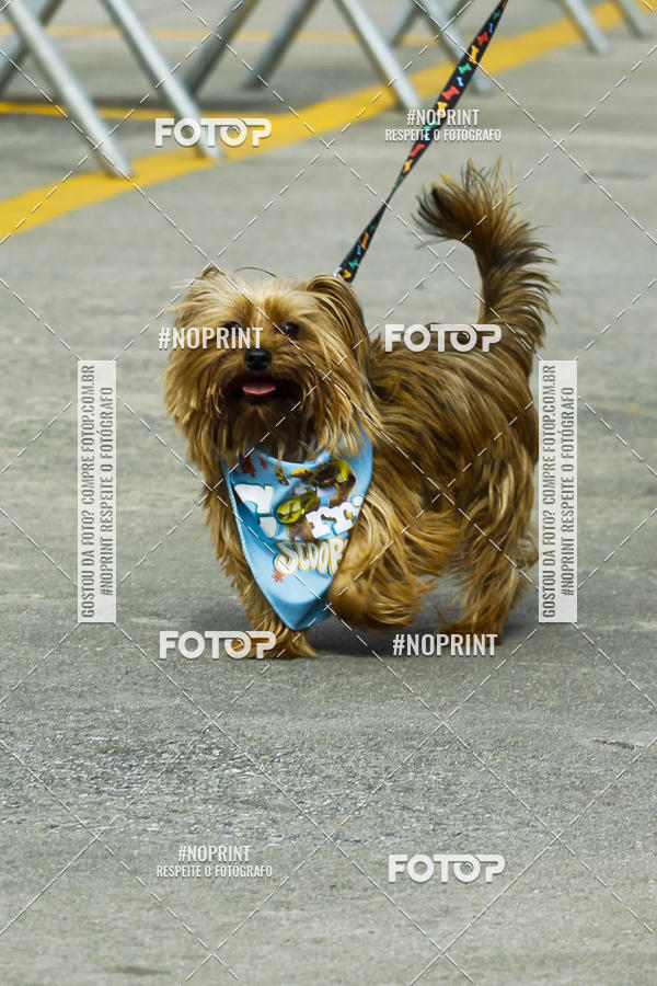 Buy your photos of the eventC�orrida Scooby Doo Internacional Shopping Guarulhos 2019 on Fotop