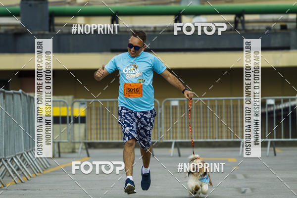 Buy your photos of the eventC�orrida Scooby Doo Internacional Shopping Guarulhos 2019 on Fotop