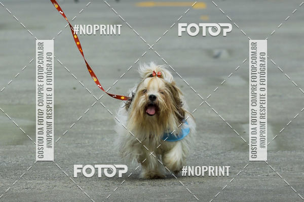 Buy your photos of the eventC�orrida Scooby Doo Internacional Shopping Guarulhos 2019 on Fotop