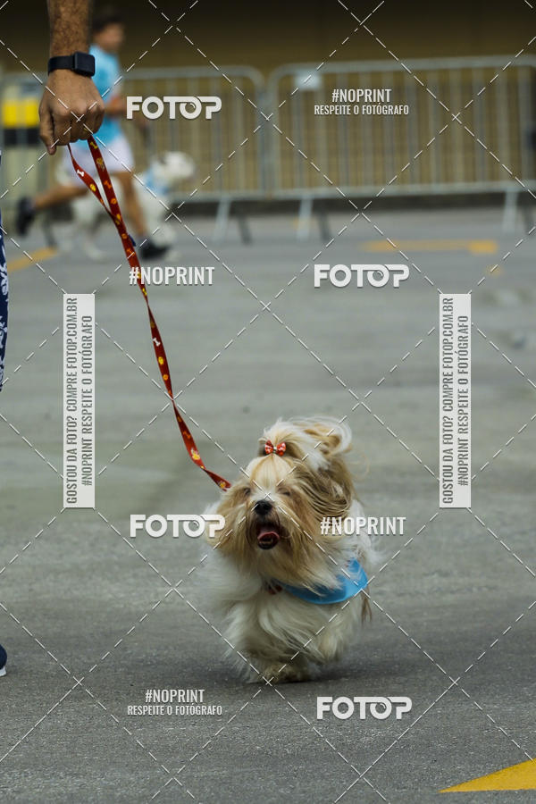 Buy your photos of the eventC�orrida Scooby Doo Internacional Shopping Guarulhos 2019 on Fotop