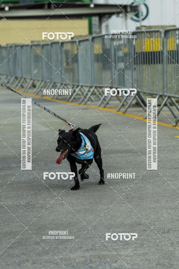 Buy your photos of the eventC�orrida Scooby Doo Internacional Shopping Guarulhos 2019 on Fotop