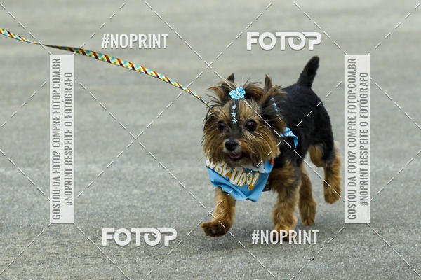 Buy your photos of the eventC�orrida Scooby Doo Internacional Shopping Guarulhos 2019 on Fotop