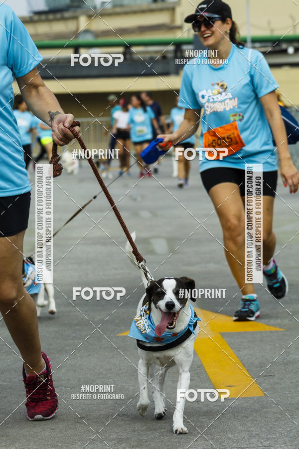 Buy your photos of the eventC�orrida Scooby Doo Internacional Shopping Guarulhos 2019 on Fotop