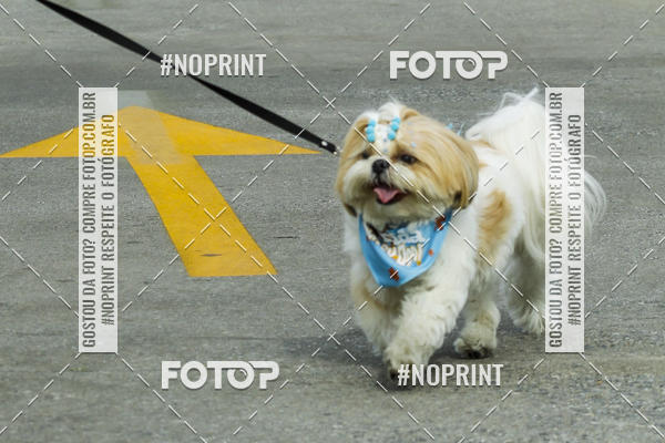 Buy your photos of the eventC�orrida Scooby Doo Internacional Shopping Guarulhos 2019 on Fotop