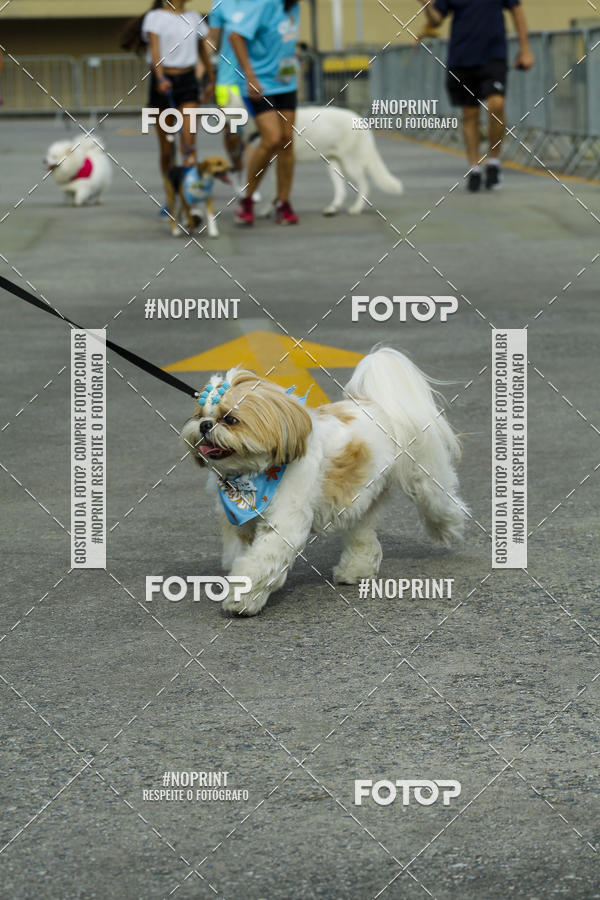 Buy your photos of the eventC�orrida Scooby Doo Internacional Shopping Guarulhos 2019 on Fotop