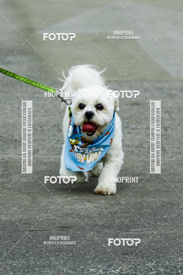 Buy your photos of the eventC�orrida Scooby Doo Internacional Shopping Guarulhos 2019 on Fotop