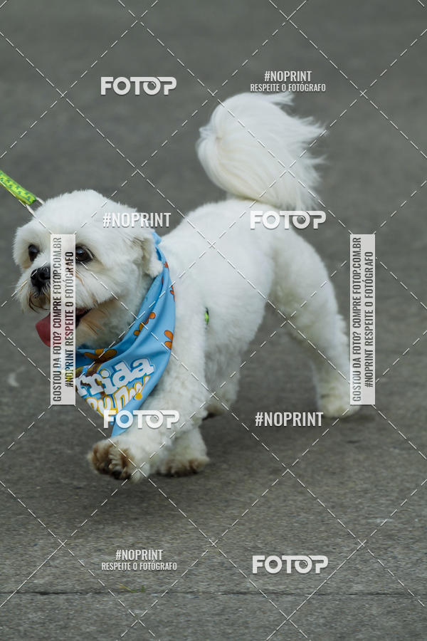 Buy your photos of the eventC�orrida Scooby Doo Internacional Shopping Guarulhos 2019 on Fotop